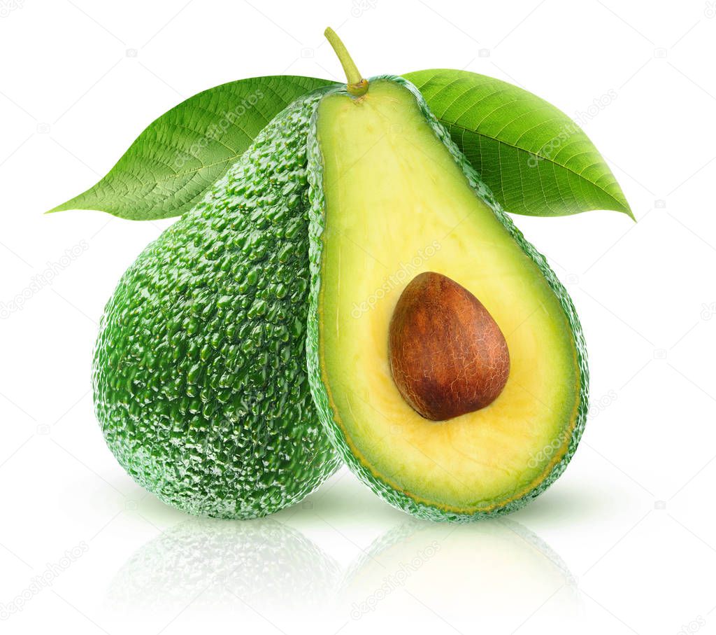 Isolated avocados. Two avocado fruits, one cut in half, on a branch with leaves isolated on white background with clipping path