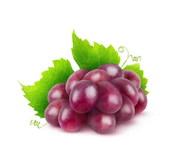 Geïsoleerde Fruit Bos Van Rode Druiven Met Een Blad Geïsoleerd — Stockfoto