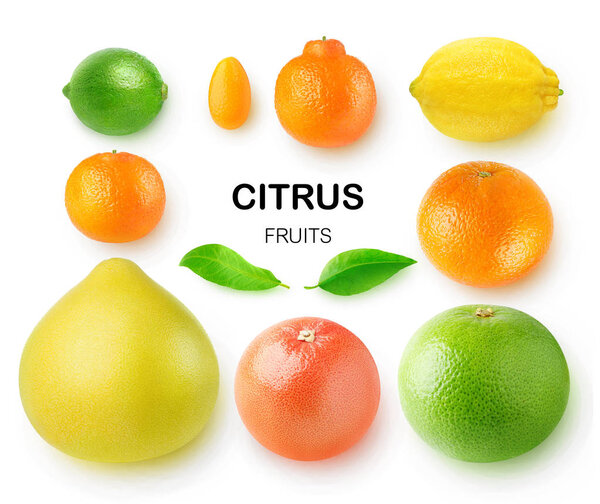 Isolated citrus fruits. Pomelo, grapefruits, orange, lemon, clementine, kumquat, lime and mandarin isolated on white background with clipping path