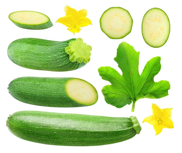 Isolated Zucchini Collection Zucchini Pieces Leaves Flowers Isolated White Background — Stock Photo, Image