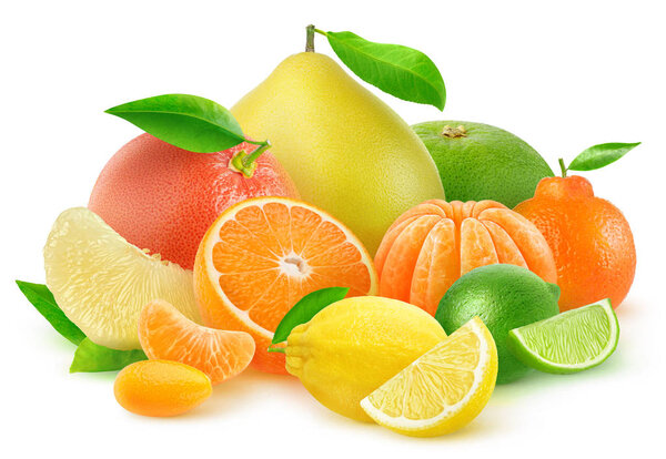 Isolated citrus fruits. Orange, grapefruit, lemon, tangerine, kumquat, lime and pomelo in a multicolored pile isolated on white background with clipping path