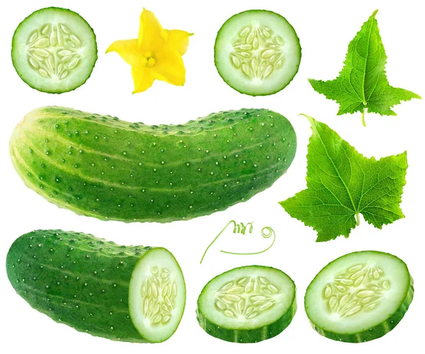 Isolated cucumber collection — Stock Photo, Image