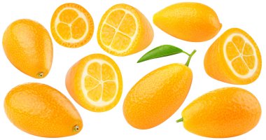 Kumquat clipart