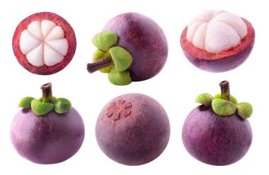 İzole mangosteen koleksiyonu