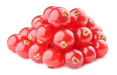 izole kırmızı kuş üzümü