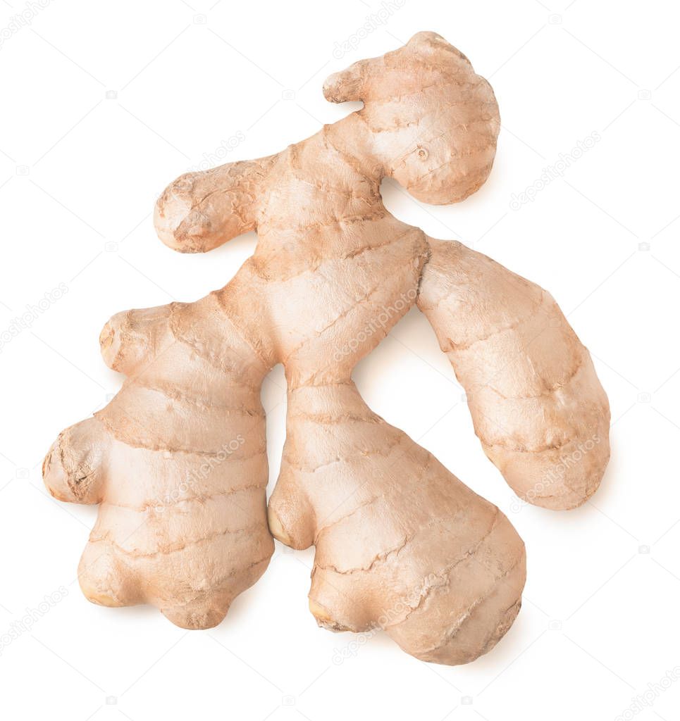 Isolated ginger. One raw ginger root, top view, isolated on white background with clipping path