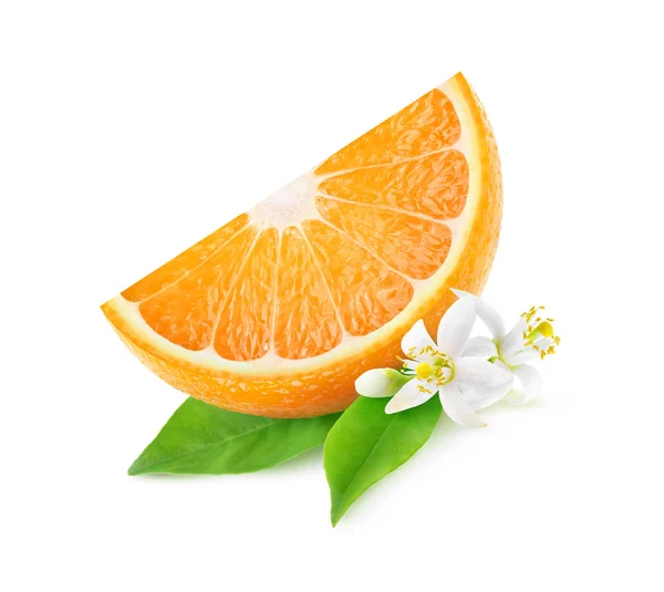 Fatia isolada de flores de laranja e laranja — Fotografia de Stock