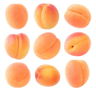 İzole kayısı toplama