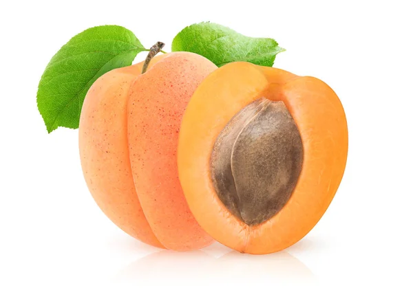 Isolated one and a half apricots — Stock Photo, Image