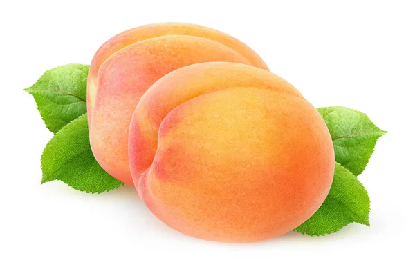 Two apricots — Stock Photo, Image