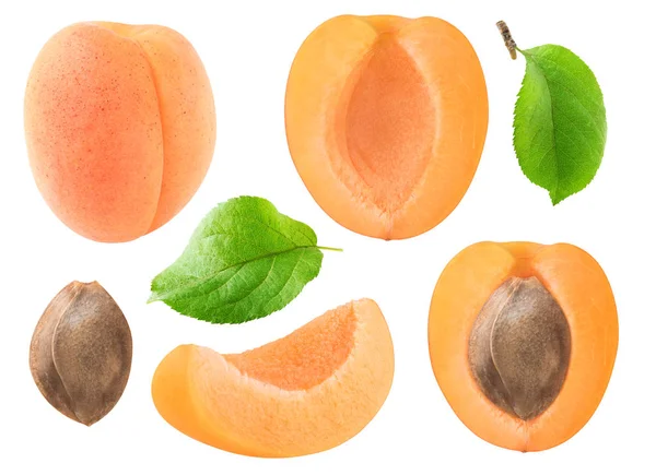 Isolated apricot pieces collection — Stock Photo, Image