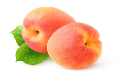 Pembe kayısı