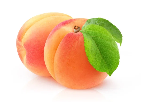 Dvě syrové meruňky — Stock fotografie