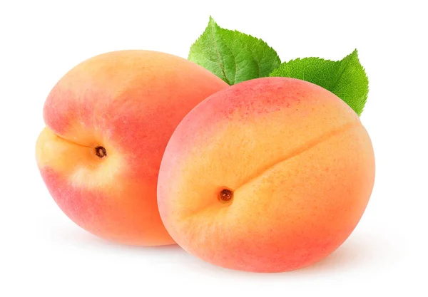 Two apricots — Stock Photo, Image