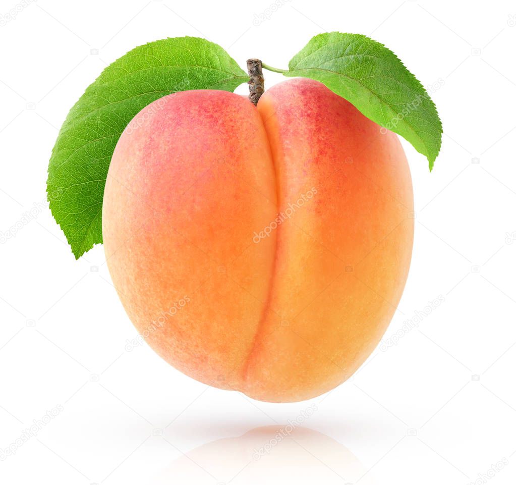 One isolated apricot