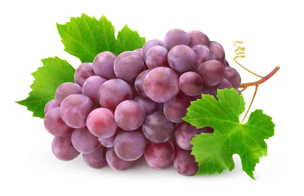 Ramo aislado de uvas rojas — Foto de Stock