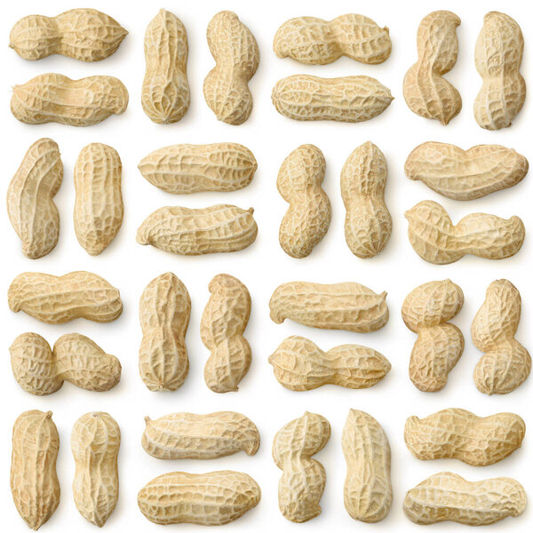 Shelled peanuts on white background, seamless square pattern