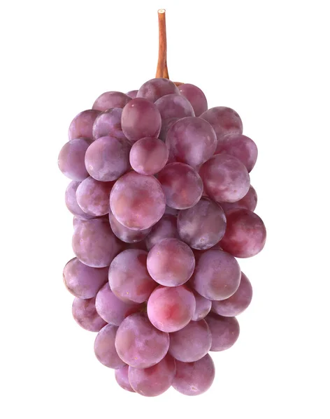 挂在白底上的红葡萄 — 图库照片