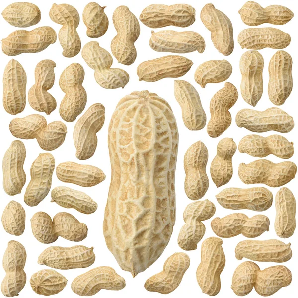 Vereinzelt Geschälte Erdnüsse Sammlung Ganzer Roher Erdnüsse Isoliert Auf Weißem — Stockfoto