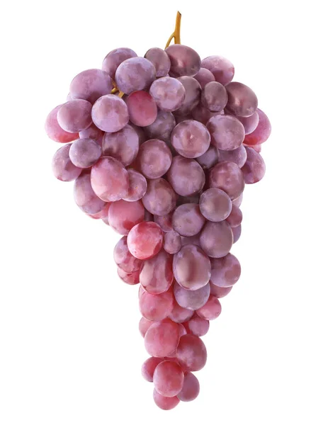 孤立したピンクのブドウ 白い背景に隔離された茎にぶら下がっているブドウの束 — ストック写真