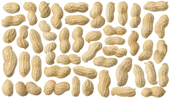 Vereinzelte Peanuts Sammlung Roher Erdnüsse Schalen Isoliert Auf Weißem Hintergrund — Stockfoto