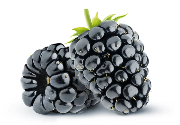 Isolated Blackberries Two Blackberry Fruits Isolated White Background — Stock Photo, Image