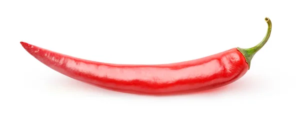 One Red Hot Chili Pepper Isolated White Background — Stock Photo, Image