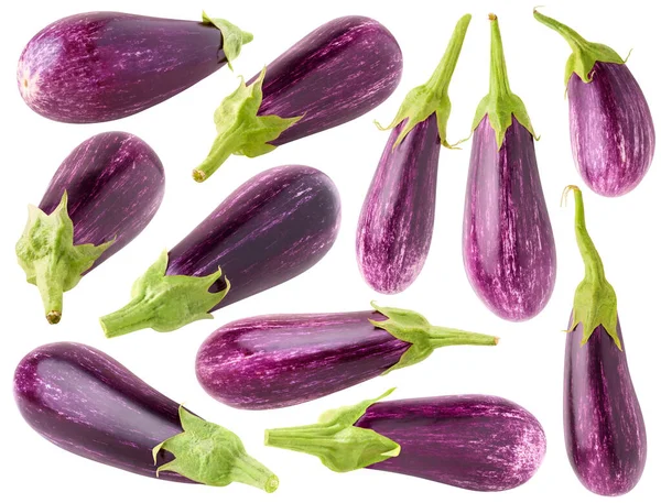 Isolated Aubergine Collection Raw Purple Eggplants Different Shapes Isolated White — Stock Photo, Image