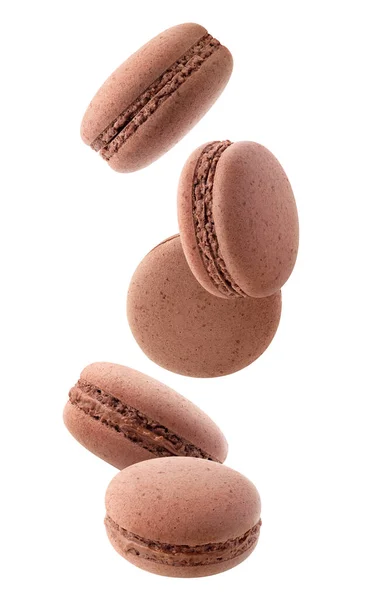 Macaroons Isolados Cinco Macaroons Chocolate Caindo Sobre Fundo Branco — Fotografia de Stock
