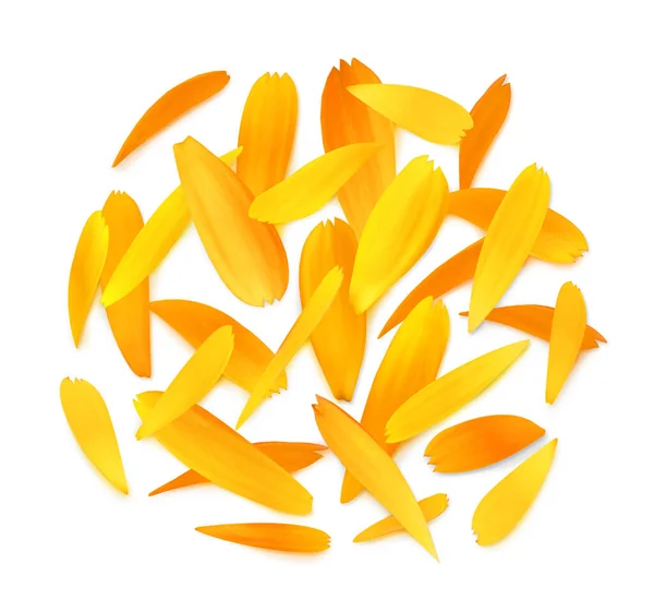 Isolated Flower Petals Marigold Petals Calendula Officinalis Top View Isolated — Stock Photo, Image