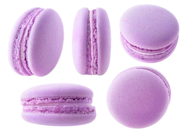 Macaroons Roxos Isolados Coleção Mirtilos Macarons Amora Diferentes Ângulos Isolados — Fotografia de Stock