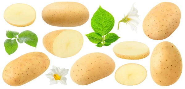 Isolierte Kartoffelernte Ganze Und Geschnittene Rohe Kartoffelfrüchte Blumen Und Blätter — Stockfoto