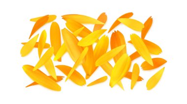 İzole takvim yaprakları, beyaz arkaplanda üst görünüm