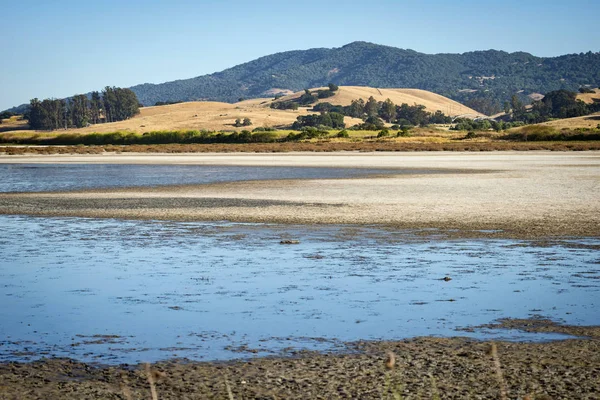 湿地鳥類保護区と保護された歩行の公園の土地 野生生物地域ペタルマ カリフォルニア州 — ストック写真