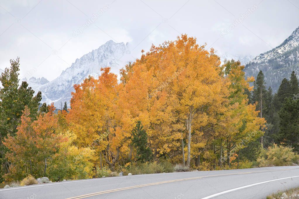 Rock Creek Canyon in the Eastern Sierra, California. Autumn landscape