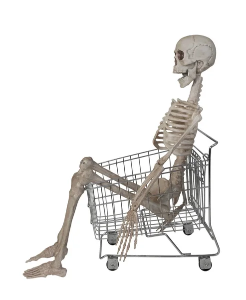 Skeleton Internal Framework Body — Stock Photo, Image