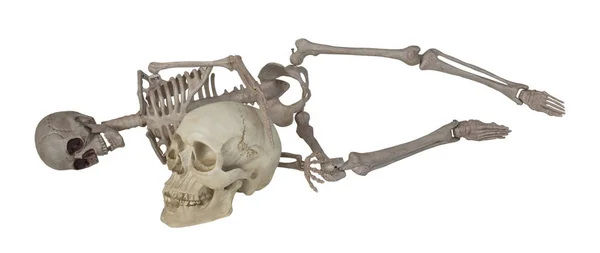 Skeleton Laying Skull Διαδρομή Που Περιλαμβάνεται — Φωτογραφία Αρχείου