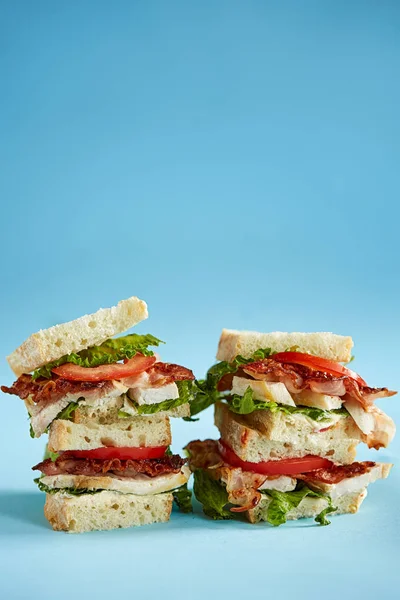 Sandwich with chicken and bacon on a blue backdrop
