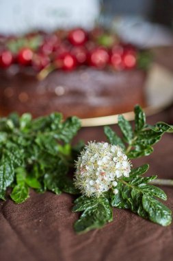 Arka planda bir çikolata chery pasta ile bahar çiçek