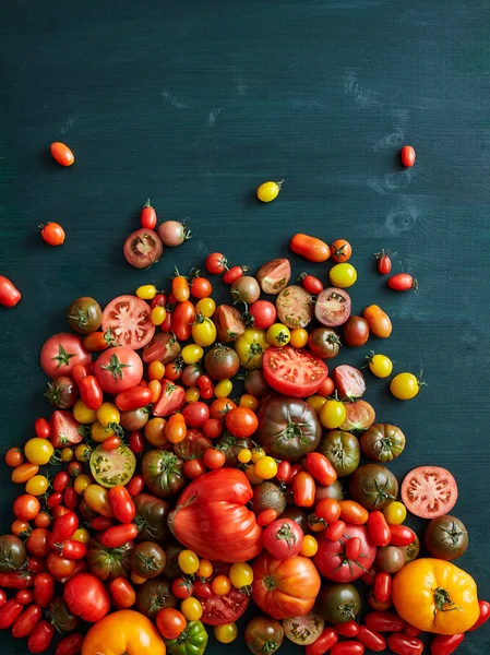 Seleção Tomates Uma Superfície Madeira — Fotografia de Stock
