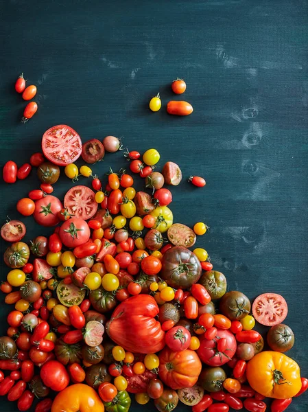 Selección Tomates Sobre Una Superficie Madera — Foto de Stock