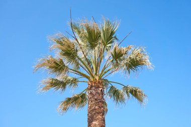 Selanik ve Olimpiyat riviera, Yunanistan seyahat 