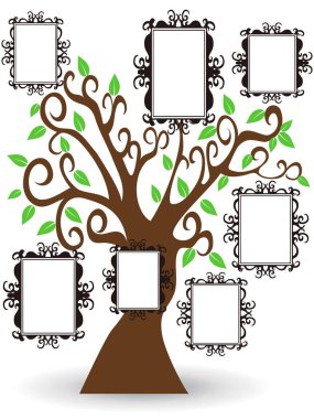 izole resimleri çerçeve ağaç beyaz arka plan üzerinde
