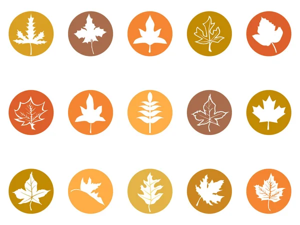Isolated Maple Leaves Button Icons White Background — Stock Vector