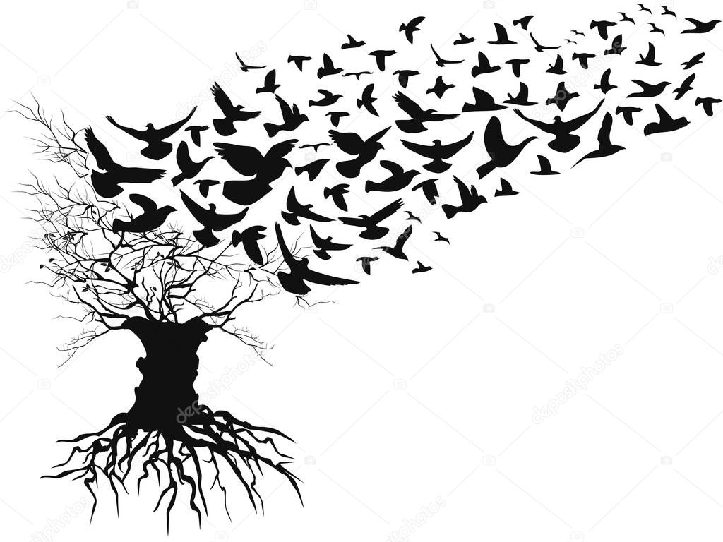 isolated birds flying away dead branches tree from white background