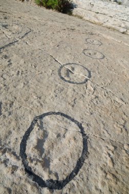 Fosil ayak izleri Kretase dinozor, Kamenjak, Hırvatistan