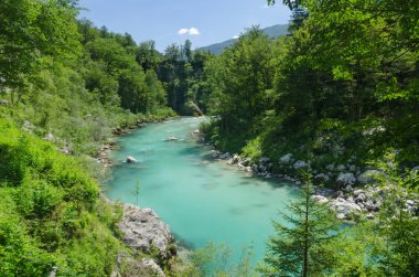 Turkuaz su ve yeşil orman, Slovenya ile güzel Soca Nehri
