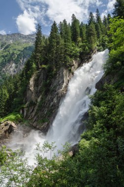 Krimml şelaleler Alp ormanda, Avusturya
