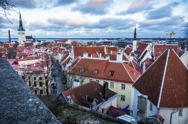 Toits Tallinn Depuis Plateforme Observation — Photo
