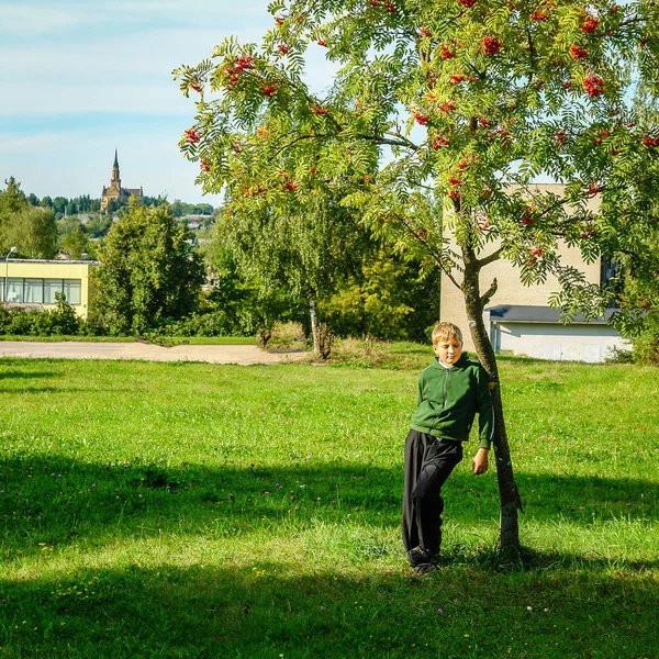 Dospívající Chlapec Stál Pod Stromem Rowan — Stock fotografie